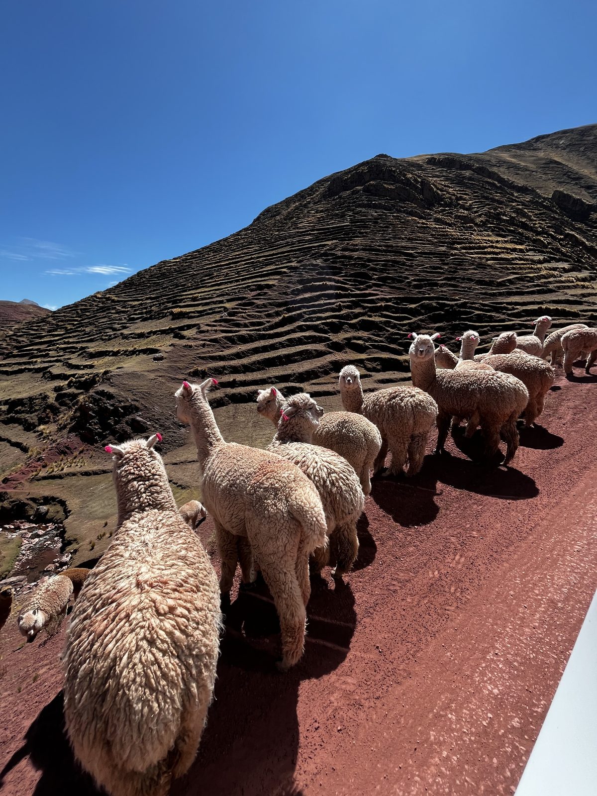 Palccoyo Alternative Rainbow Mountain Private Tour